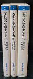 文化大革命十年史　全3冊揃い（岩波現代文庫G72-74）