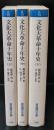 文化大革命十年史　全3冊揃い（岩波現代文庫G72-74）