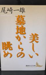 美しい墓地からの眺め（講談社文芸文庫）