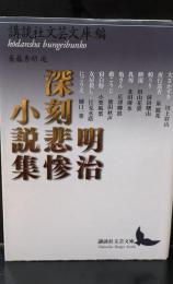 明治深刻悲惨小説集（講談社文芸文庫）