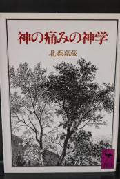 神の痛みの神学（講談社学術文庫743）