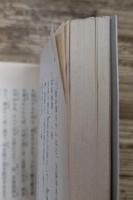 葛飾北斎伝 (岩波文庫 青562-1)