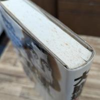 大崩壊 : ゲッベルス最後の日記