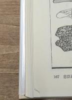 国芳の絵本　全２冊揃い