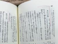 ナスレッディン・ホジャ物語 : トルコの知恵ばなし (東洋文庫)