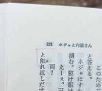 ナスレッディン・ホジャ物語 : トルコの知恵ばなし (東洋文庫)