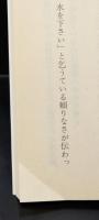 星条旗の聞こえない部屋（講談社文芸文庫）