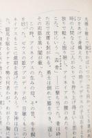 イリアス 上下2冊揃い（岩波文庫赤102-1・2）