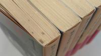 戦争と平和 全6冊揃い (岩波文庫 赤)