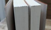 泡鳴五部作　上下2冊揃い　(新潮文庫)