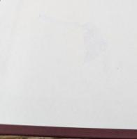 親鸞 原典日本仏教の思想