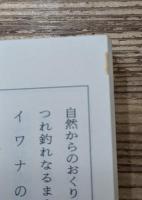 寺島町奇譚(全) （ちくま文庫)