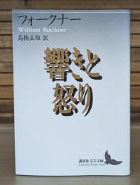 響きと怒り （講談社文芸文庫）