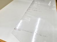 新訂原色昆虫大図鑑　Ⅱ　甲虫篇