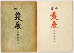 発展