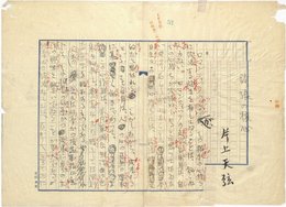 片上伸零葉