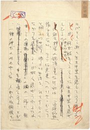 杉山平助零葉