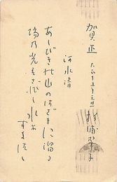 杉浦翠子葉書（印刷/年賀）
