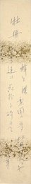 土井晩翠短冊