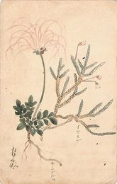 荒木月畝葉書（水彩/旅先）
