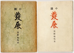 発展