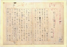 上林暁草稿