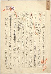 杉山平助零葉