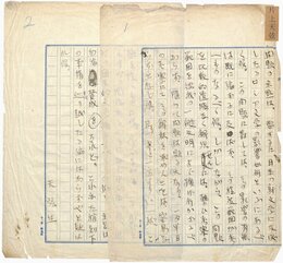 片上伸零葉