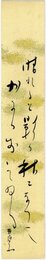 荻原井泉水短冊