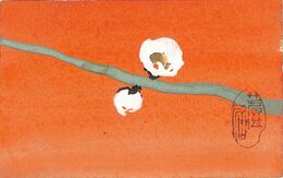 井上蘆仙葉書（毛筆/寒中）