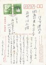 山川菊栄葉書