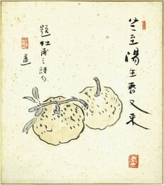 荻原井泉水色紙