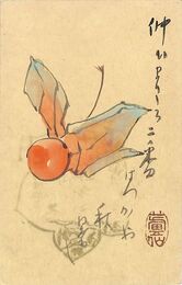 井上蘆仙葉書（毛筆/残暑）