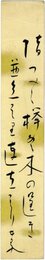 荻原井泉水短冊