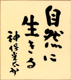 神保光太郎色紙