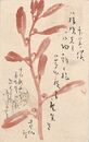 井上蘆仙葉書（毛筆/祝状）