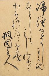 印東昌綱葉書（毛筆/暑中）