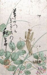 井上蘆仙葉書（毛筆/残暑）