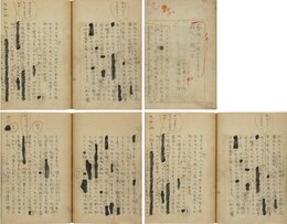 谷崎潤一郎訳稿