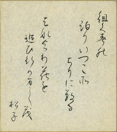 谷崎松子色紙
