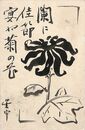 今城星宇葉書（毛筆/時節）