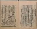 用捨箱