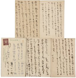 片上伸葉書