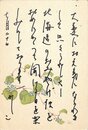 葛原妙子葉書