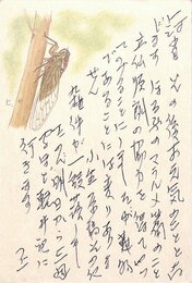 佐藤朔葉書