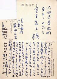 森田たま葉書（ペン/暑中）