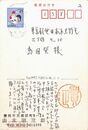 山本朋三郎葉書（ペン/年賀）