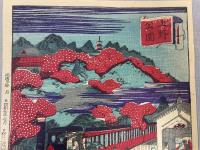 浮世絵 上野公園