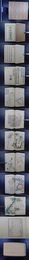 「芥子園画伝」1帙15冊揃