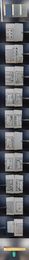 「宋雪岩梅花喜神譜」1帙2冊揃